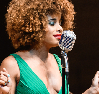 Фантине Мария Притула - Наушники Сварог (6 драйверов, арт. Z6) Фантине Мария Притула